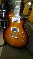 ESP LTD EC-401VF